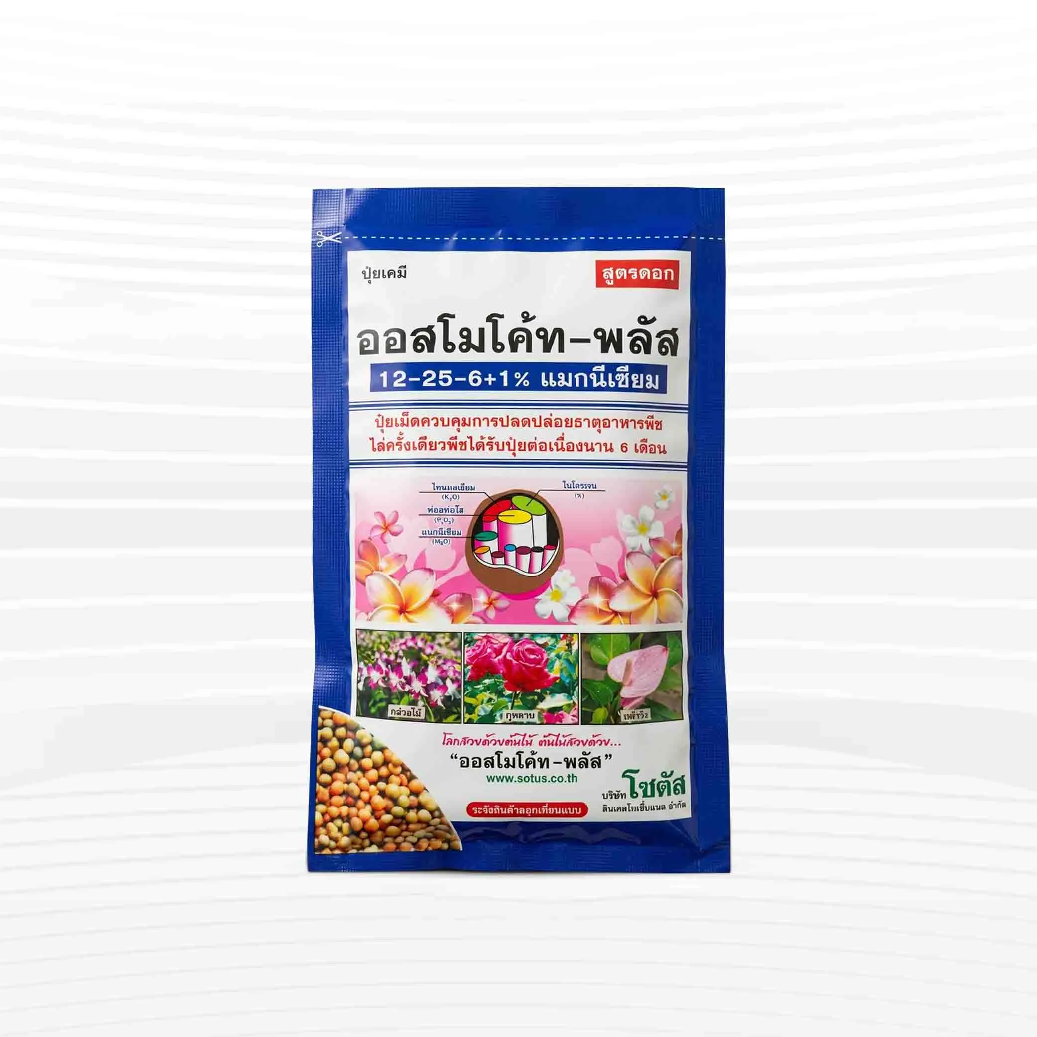 Osmocote Plus 12-25-6+1% Magnesium - 100 gm